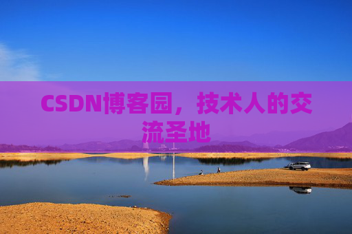 CSDN博客园，技术人的交流圣地